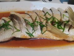-映像威海·威海宴(威高广场店)