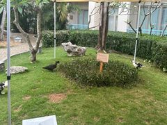 -三亚亚龙湾雅高美爵酒店