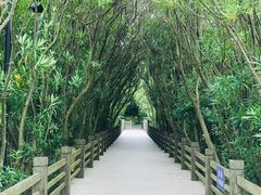 -吴淞炮台湾湿地森林公园烧烤区