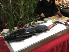 -海玥荟海鲜姿造自助餐厅(欧罗巴广场店)