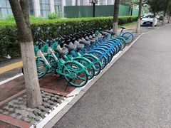 -长白岛森林公园