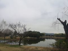 -无锡蠡湖国家湿地公园-蠡园