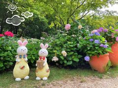 -上海共青森林公园