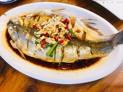 运河白水鱼-印象江南(东栅店)