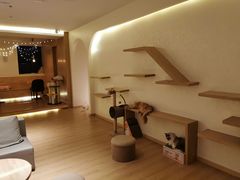 -猫腻·猫咖·撸猫馆(星光大道店)