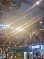 -卡通尼·Safari非洲探索乐园·生日会(金桥国际商业广场店)