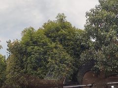 -老杨砂锅鱼庄