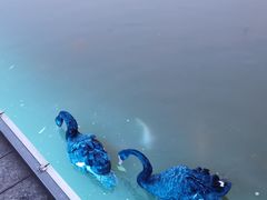 -春晖园度假酒店温泉