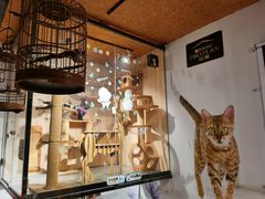 -米卢宠物公园(广华居店)