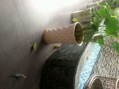 android_upload_pic-海悦汇健康足道养生SPA