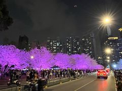 -西北湖绿化广场