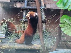 -西安秦岭野生动物园