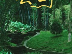 -火炉山森林公园