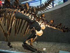 -国家自然博物馆