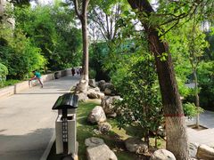 -莲湖公园