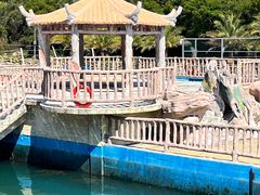 -广东惠东海龟国家级自然保护区