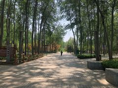 -仁和公园(顺义区)