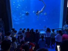 -太平洋海底世界