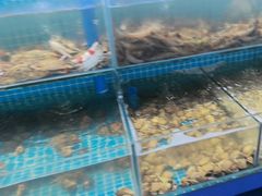 -仙螺岛海鲜自助餐厅(总店)