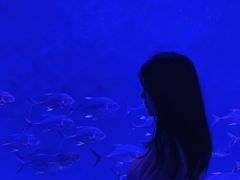 -哈尔滨波塞冬海底世界