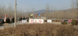 -窦王岭景区游乐场