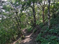 -灵山