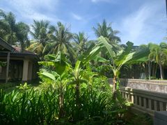 -海南清水湾莱佛士酒店