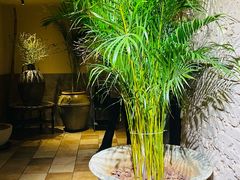 -朴墅(西湖青芝坞店·杭帮菜·家宴.14年的店)