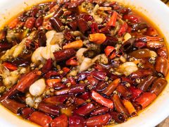 麻辣馋嘴蛙-胡桃里乐队酒馆(长春总店)