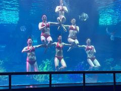 -泉城欧乐堡海洋极地世界