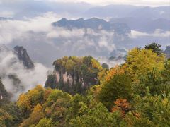 -光雾山旅游景区