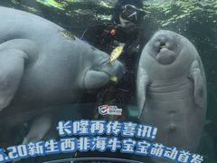 -珠海长隆海洋王国