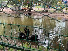 -长白岛森林公园