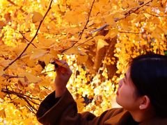 -腾爱熊猫咖啡生活馆(老东门店)