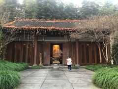 -十八棵（老龙井）御茶园(老龙井店)