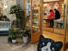 -猫的天空之城概念书店(印象城购物中心店)