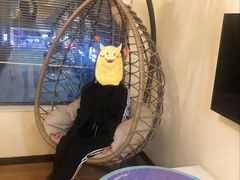 -滚猫咖啡·猫咖·猫友好撸猫(未来城店)