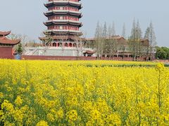 -皇罗禅寺