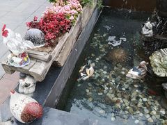 -草场地艺术区