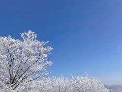 -安吉龙王山风景区