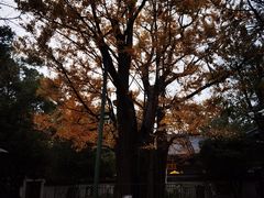 -西湖风景区十里琅珰-五云山