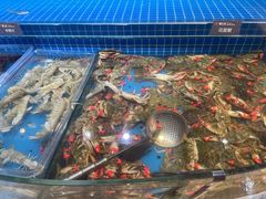 -乔哥铭洋海鲜自助(皇城恒隆广场店)
