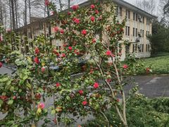 -浙江大学(玉泉校区)