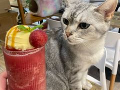-小时光咖啡馆(北锣鼓巷店)