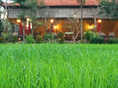 -脏鸭餐厅(乌布总店)