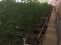 -万源龙顺度假庄园生态观光园