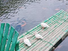 -关门山森林公园