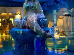 -成都泰迪熊博物馆