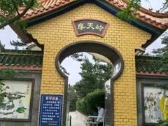 -摩天岭风景区