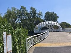 -同里国家湿地公园
